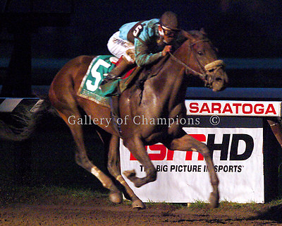 #ad Birdstone 2004 Travers Stakes Photo 8quot; x 10 24quot; x 30quot; $79.95